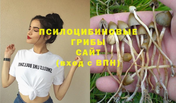 кристаллы Алзамай
