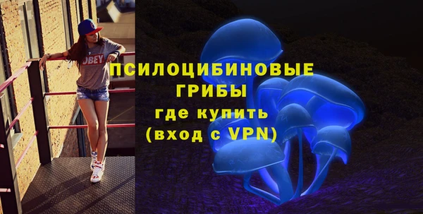 ALPHA-PVP Алексеевка
