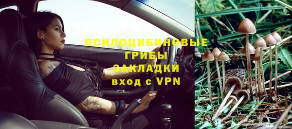соль ск Алексин