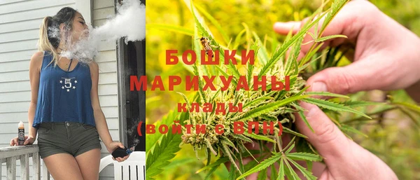 ALPHA-PVP Алексеевка