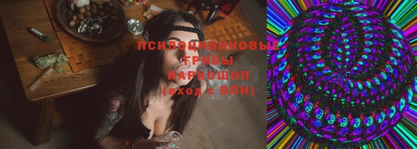 соль ск Алексин