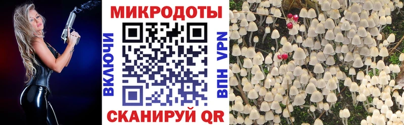 Галлюциногенные грибы MAGIC MUSHROOMS  Игра 